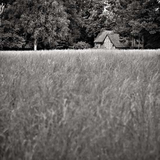 hidden farmhouse 